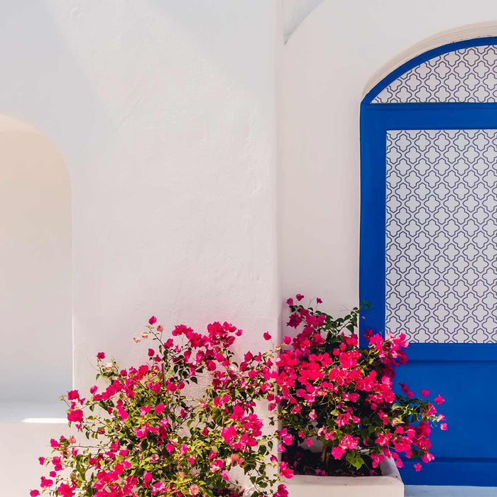 Host a Mediterranean-Inspired Summer Dinner Party with Coastal Charm