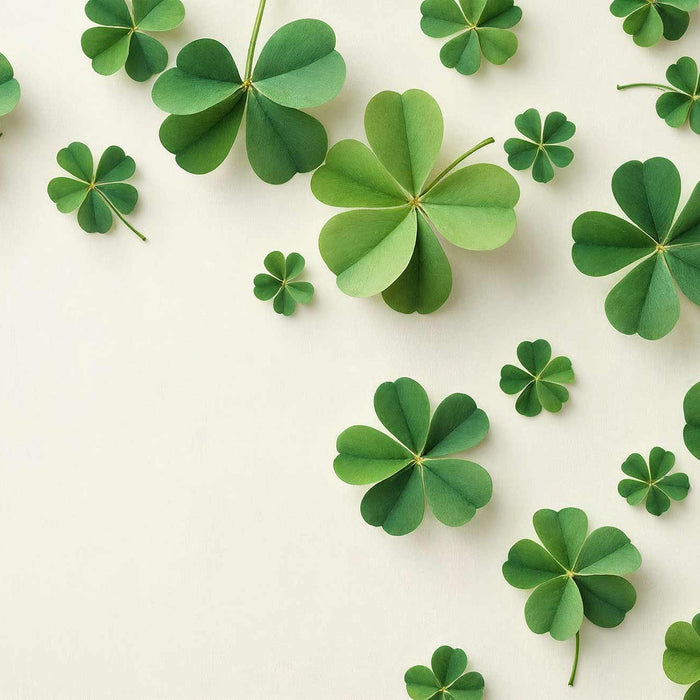 St. Patrick’s Day Party Ideas: Invitations, Decor, Food, Games and Favors