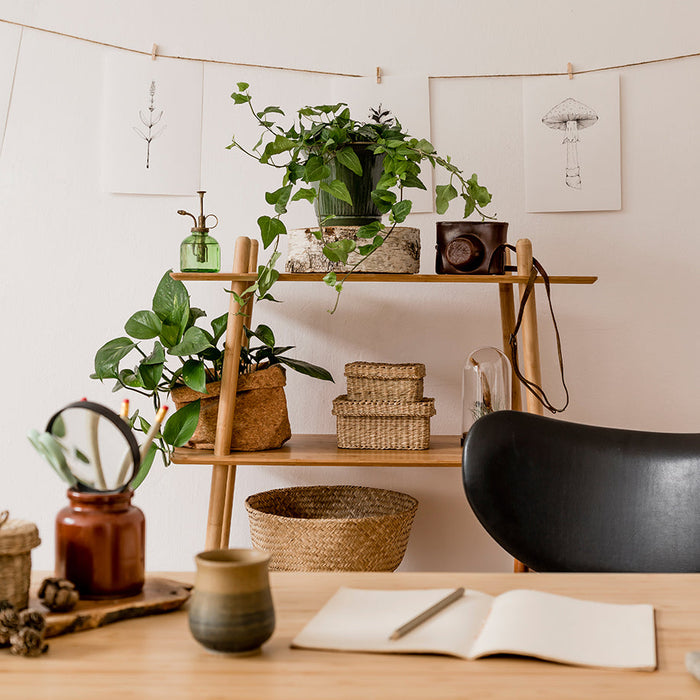 the psychology of stationery