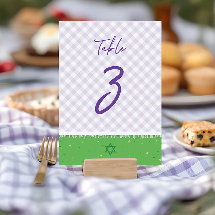 Bat Mitzvah Invitation Purple Gingham Plaid Garden Party Invite