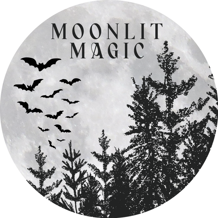 Halloween Party Invitation Spooky Moon Bats Night Invite
