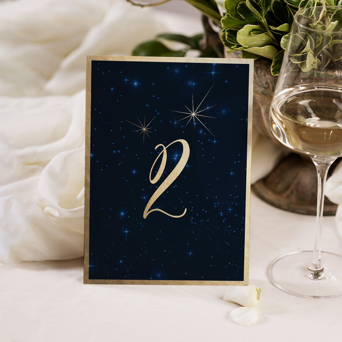 Outdoor Movie Night Birthday Invitation Under the Stars