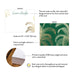 Front and back of personalized green and gold palm tree note cards with A2 size and matte cardstock details.