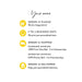 Illustrated overview of the note card order process, printing, shipping and delivery.