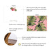 Product details graphic for personalized tropical hibiscus note cards, showing front and back designs, A2 size, and matte cardstock.