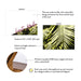Front and back of personalized tropical palm leaf corner note cards with A2 size and matte cardstock details.