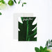 personalized tropical note card featuring a large green monstera leaf design and a custom name in script lettering.-front